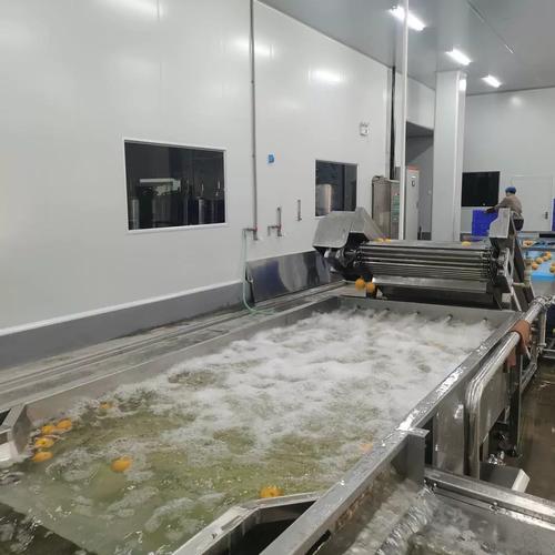 超聲波清洗設(shè)備 從源頭工廠視角看百香果、小金桔、橙子、黃皮的高效清潔解決方案